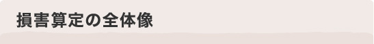 損害算定の全体像