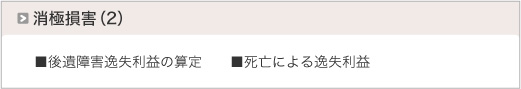 消極損害（２）